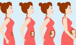 آنچه زنان باید درباره ی بارداری و مراقبت آن بدانند